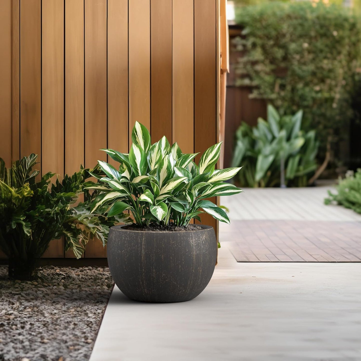 Kante 15.7" Dia Round Concrete Planter, Outdoor/Indoor Large Bowl Plant Pots with Drainage Hole and Rubber Plug for Garden Patio Balcony Home, Oil Rubbed Bronze-VerdiqueGarden