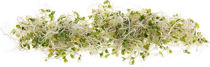 Broccoli Seeds for Sprouting & Microgreens | Waltham 29 Variety | Non GMO & Heirloom Seeds | Bulk 1 LB (16 oz) Resealable Bag | Rainbow Heirloom Seed Co.-VerdiqueGarden