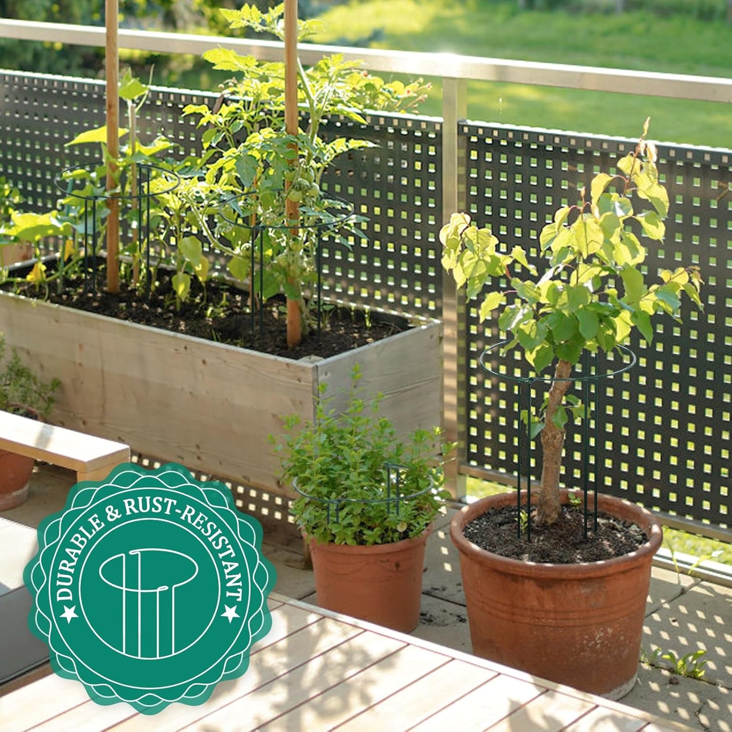 16 Pack 24 inch Plant Support Stakes, Half Round Peony Cage and Support, Adjustable Plant Support Stand with Clips & Twist Tie Garden Stakes for Indoor Outdoor, Heavy Duty Plant Support Ring-VerdiqueGarden