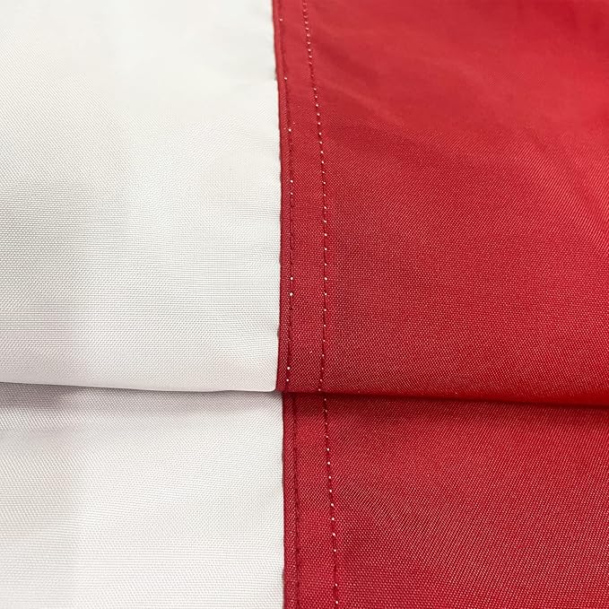 Homissor American Flag 20x30 Ft Large US Flags USA - Giant United State Flag Heavy Duty Outdoor Embroidered Stars for All Weather High Wind Sewn Stripes With Brass Grommets-VerdiqueGarden