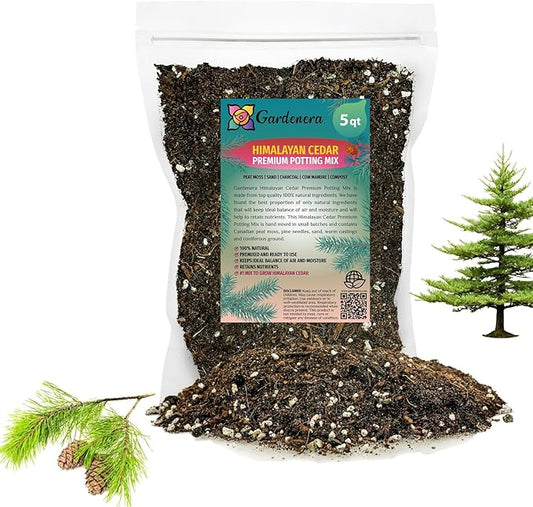 Premium Himalayan Cedar Potting Soil Mix - Perfect Balance of Nutrients, Drainage, and Aeration for Healthy Cedar Trees - 5 Quart-VerdiqueGarden