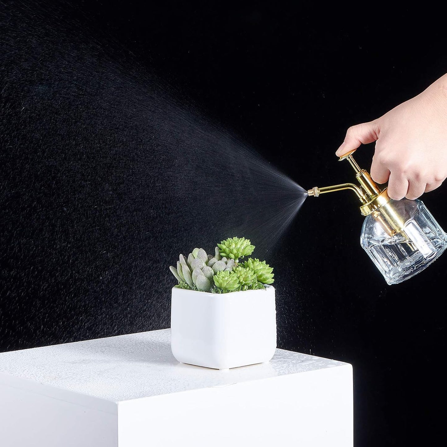 Glass Plant Mister Spray Bottle, Succulent Watering Bottle with Golden Top Pump, Vintage Plant Spritzer, Decorative Water Sprayer Small Watering Can for Indoor Outdoor Houseplant - Clear-VerdiqueGarden