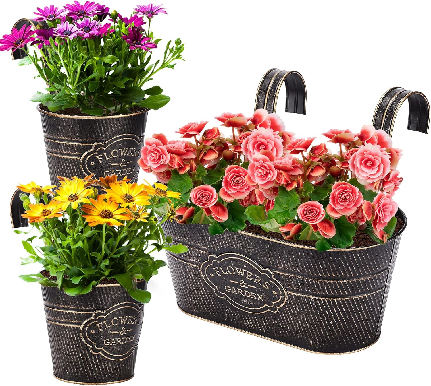 PerGar Vintage Metal Iron Wall Hanging Flower Pots, Rustic Planter Bucket Herb Flower Plant Holder with Detachable Hooks & Drainage Hole for Railing Fence Balcony Deck Garden Home Decoration, Set of 3-VerdiqueGarden