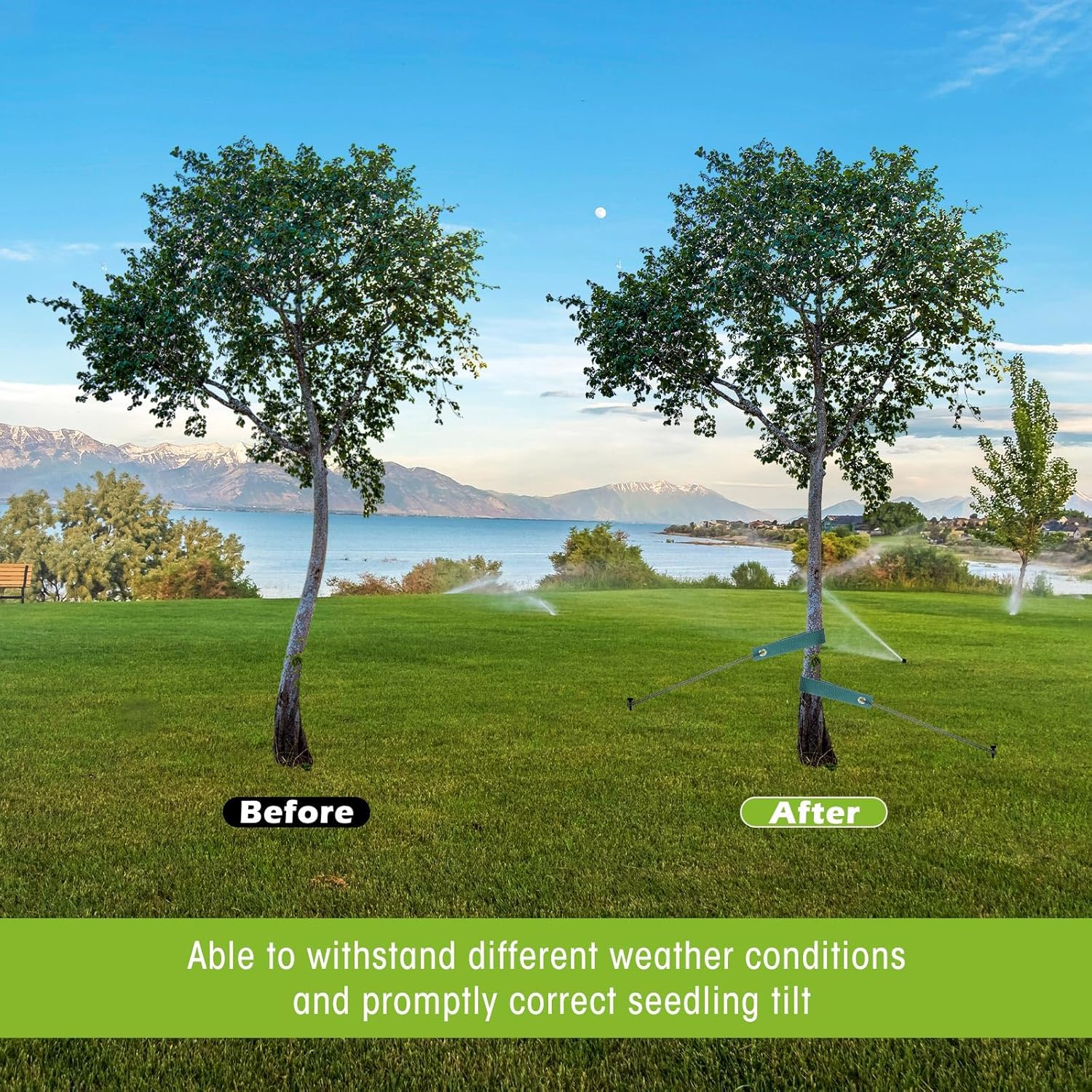 Sintuff 9 Set Heavy Duty Tree Stake Kit 15.75 Inches/ 40 cm Tree Straps for Staking and 13.12 ft/ 4 m Dock Lines Rope for Support Anchoring Home Leaning Plant Straightening Garden Tent(Green)-VerdiqueGarden