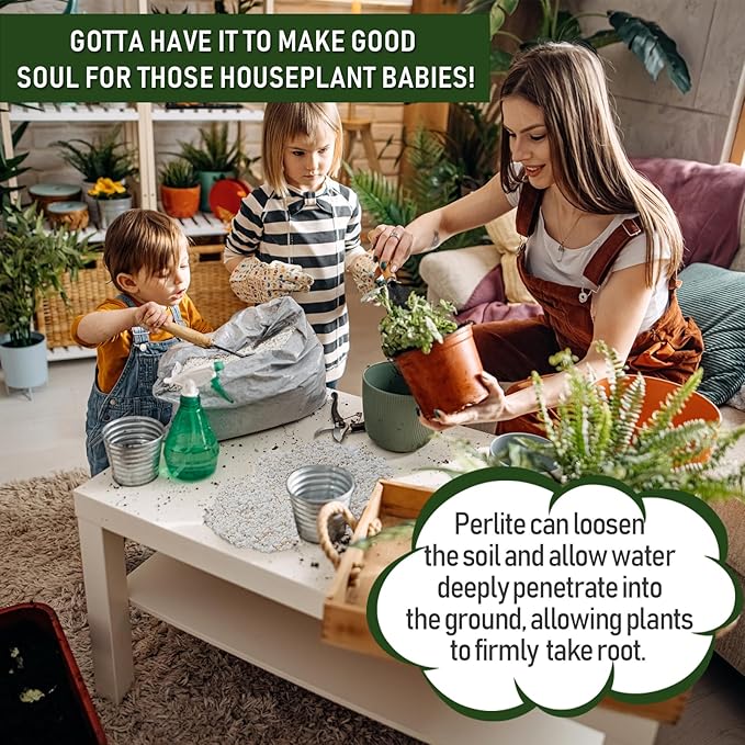 10QT Horticultural Perlite Bulk, Organic Perlite for Plants, Course Perlite for Gardening, for Plants Indoor, for Houseplants, to Promotes Soil Root Growth, and Water Drainage and Plant Growth(3-6mm)-VerdiqueGarden