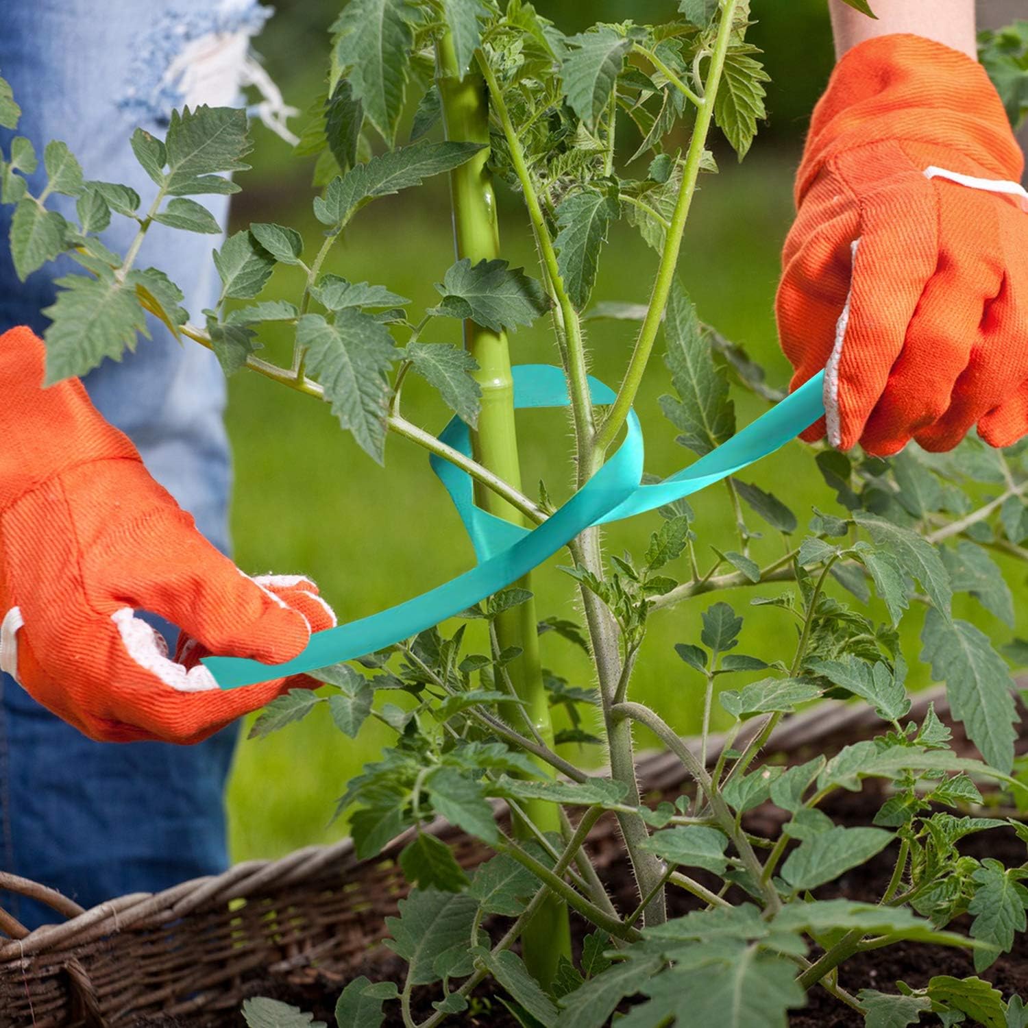 Coobbar Stretch Tie Tape, 0.5 Inch Wide Stretch Tie Tape Garden Tie Tape Thick Plant Ribbon Garden Green Vinyl Stake for Indoor Outdoor Patio Plant Use (600 Feet)-VerdiqueGarden