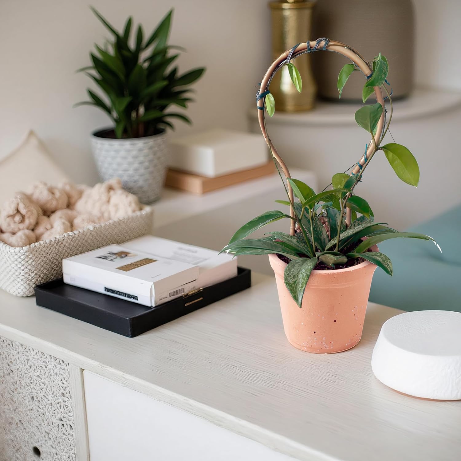 Plant Trellis Indoor 16in, Loop-Shaped Bamboo Trellis - 3 Pack for Climbing Plants, Hoya, Potted Plants-VerdiqueGarden