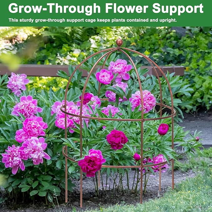 1 Pcs Jardin Bird Cage Plant Support 24" H Large Sturdy Grow-Through Flower Support Peony Cage Climbing Plant Support Trellis Sculptural Garden Decor for Perennial Flowers Vintage Gold-VerdiqueGarden
