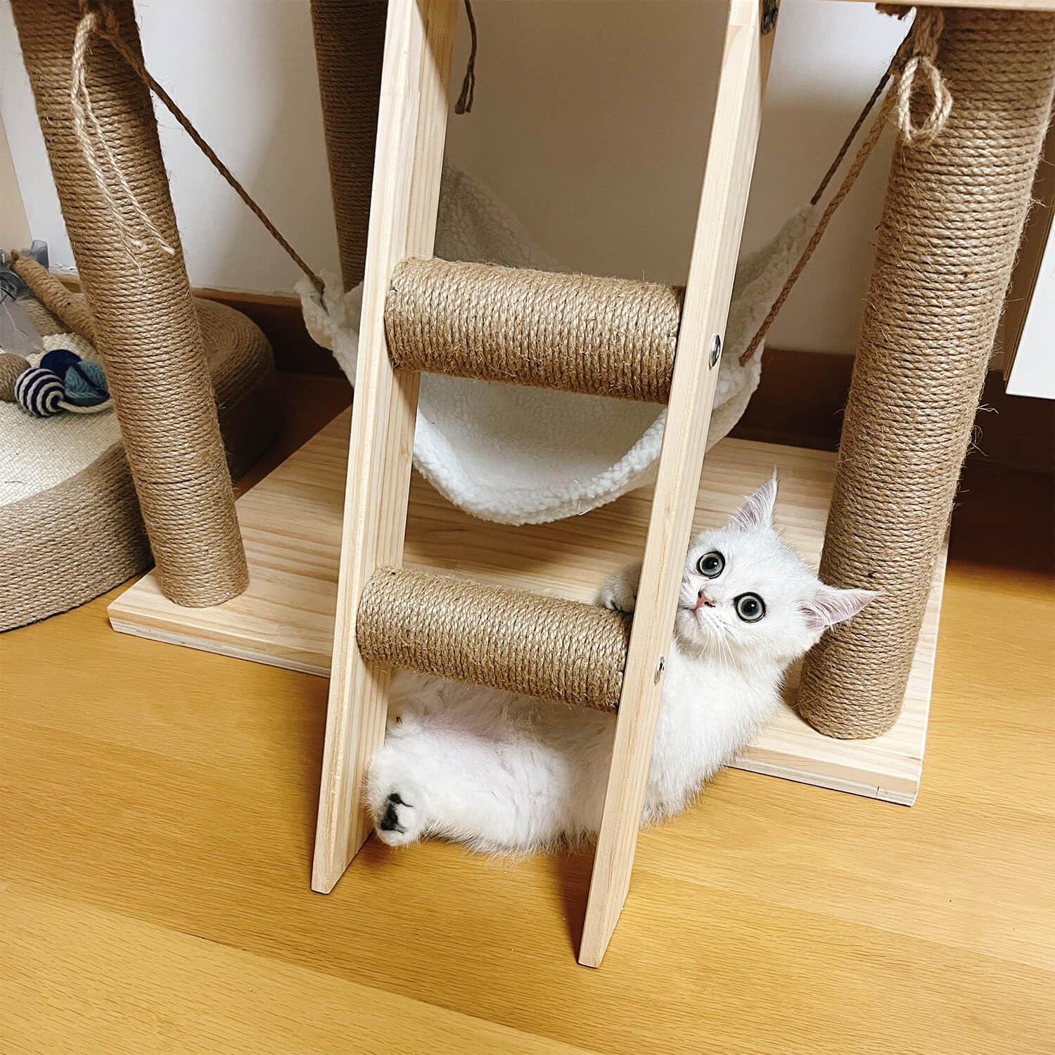 4mm Jute Twine, 164 Feet Braided Jute Rope, Heavy Duty and Thick Twine Rope for DIY Artwork, Bundling, Home Decor, Gardening Applications (4MM 164FT)-VerdiqueGarden