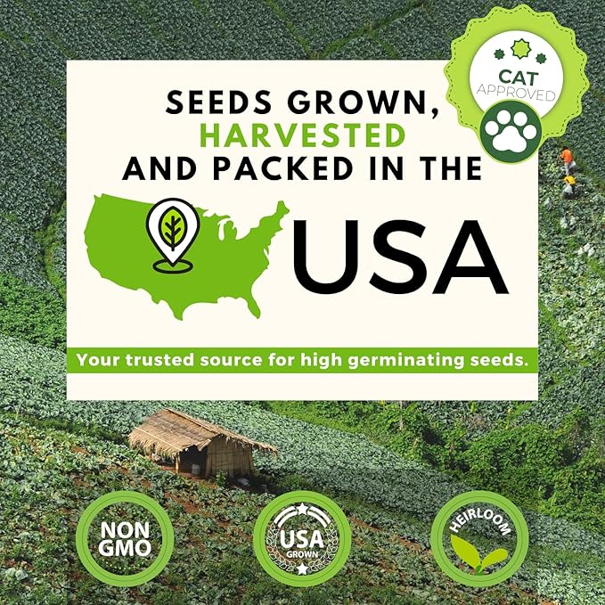 HOME GROWN Cat Grass Seed Mix – Non-GMO Oat, Alfalfa, Rye & Wheat Seeds for Cats | Indoor Pet Grass with Fast Germination | Digestive Aid, Hairball Relief & Safe Chew Alternative-VerdiqueGarden