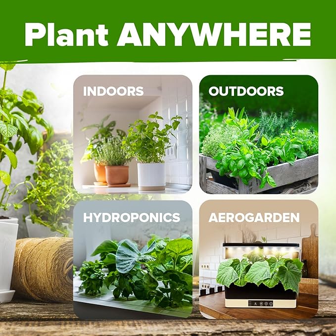 HOME GROWN 10 Herb Seeds for Planting 3,000+ Non-GMO Heirloom Seeds | Extra Large Variety Pack Herb Kit – Indoor Outdoor & Hydroponic | Culinary Seed Set | Grow Your Own Herbs | Gift for Beginners-VerdiqueGarden