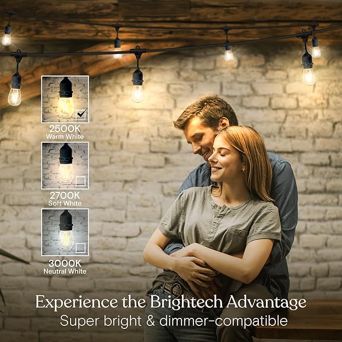 Brightech Ambience Pro - Waterproof LED Outdoor String Lights - 7 Hanging, Dimmable 2W Vintage Edison Bulbs - 24 Ft Commercial Grade Patio Lights Create Cafe Ambience in Your Backyard-VerdiqueGarden