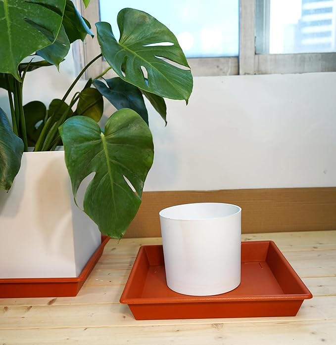 Square Plant Saucer 18 Inch 2 Pack, Large Plant Trays for Pots Heavy Duty Plastic Plant Saucers for Indoors Outdoors, Flower Pot Plant Drip Trays No Holes Terracotta Plant Lover Gardening Gifts-VerdiqueGarden