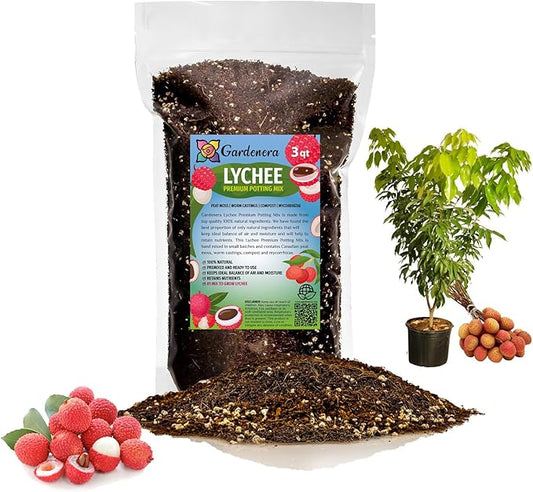 Premium Lychee Potting Soil Mix - Perfect Balance of Nutrients, Drainage, and Aeration for Thriving Lychee Trees - 3 Quart-VerdiqueGarden