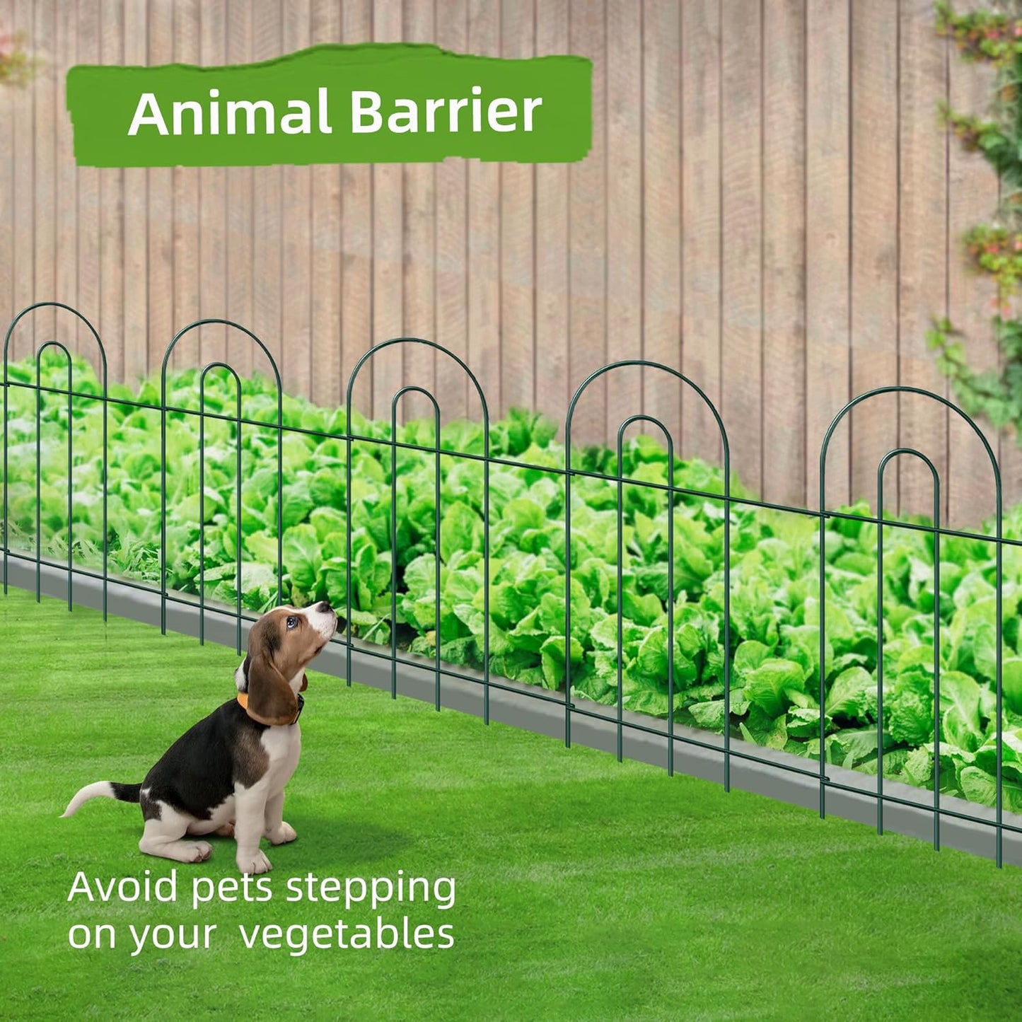 Decorative Garden Fence Border 32inX20ft Outdoor Green No Dig Temporary Iron Wire Edge Flowers Fencing Panels Rustproof Metal Folding Garden Fencing for Yard-VerdiqueGarden