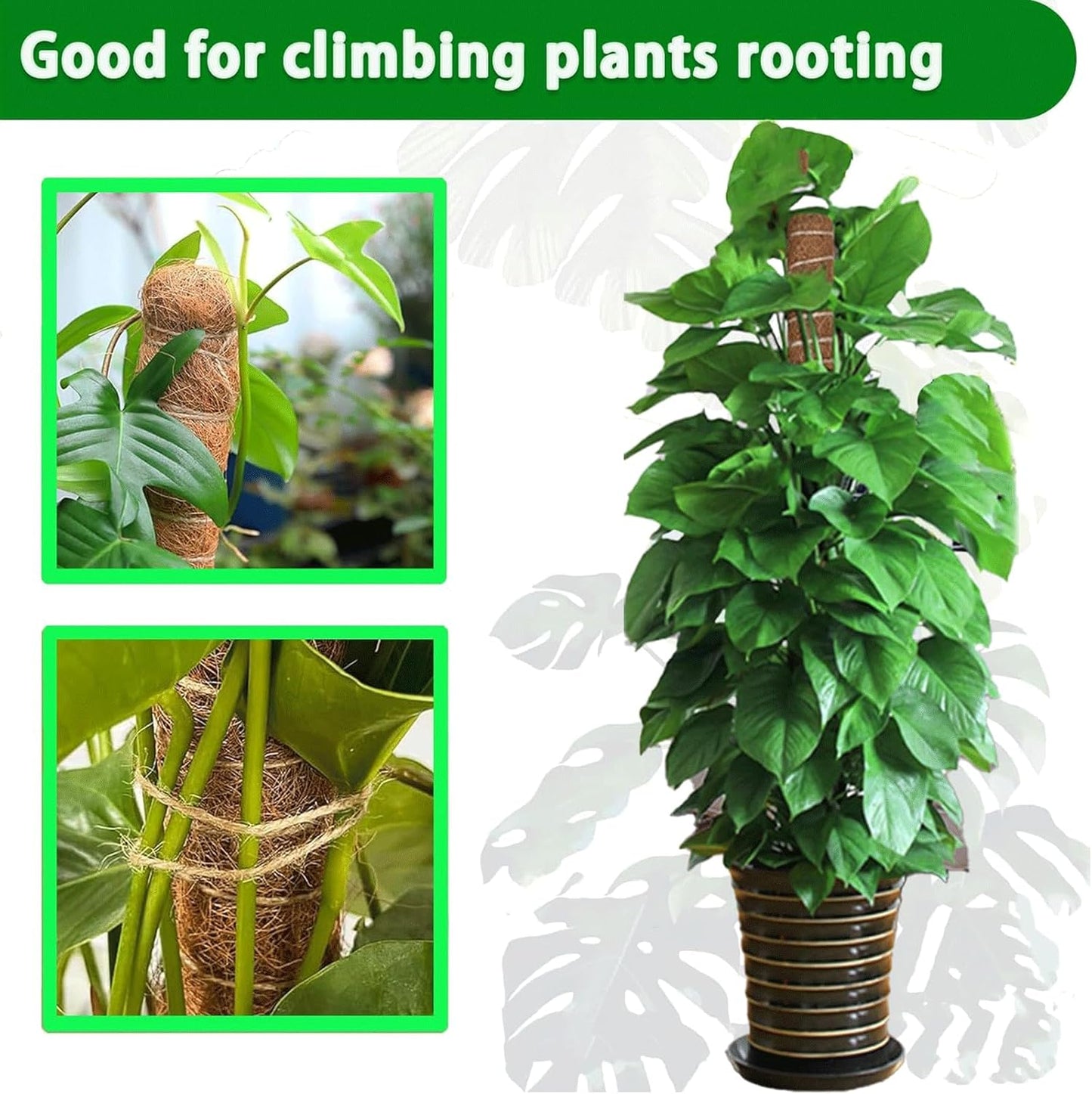 Moss Pole, 4Pack 21 Inch Plant Support Stakes for Indoor Plants, Monstera Plant Support Stakes, 69 Inch Tall Coir Plant Pole Sticks for Potted Plants, Pothos, Philodendron, Climbing Plants Accessories-VerdiqueGarden