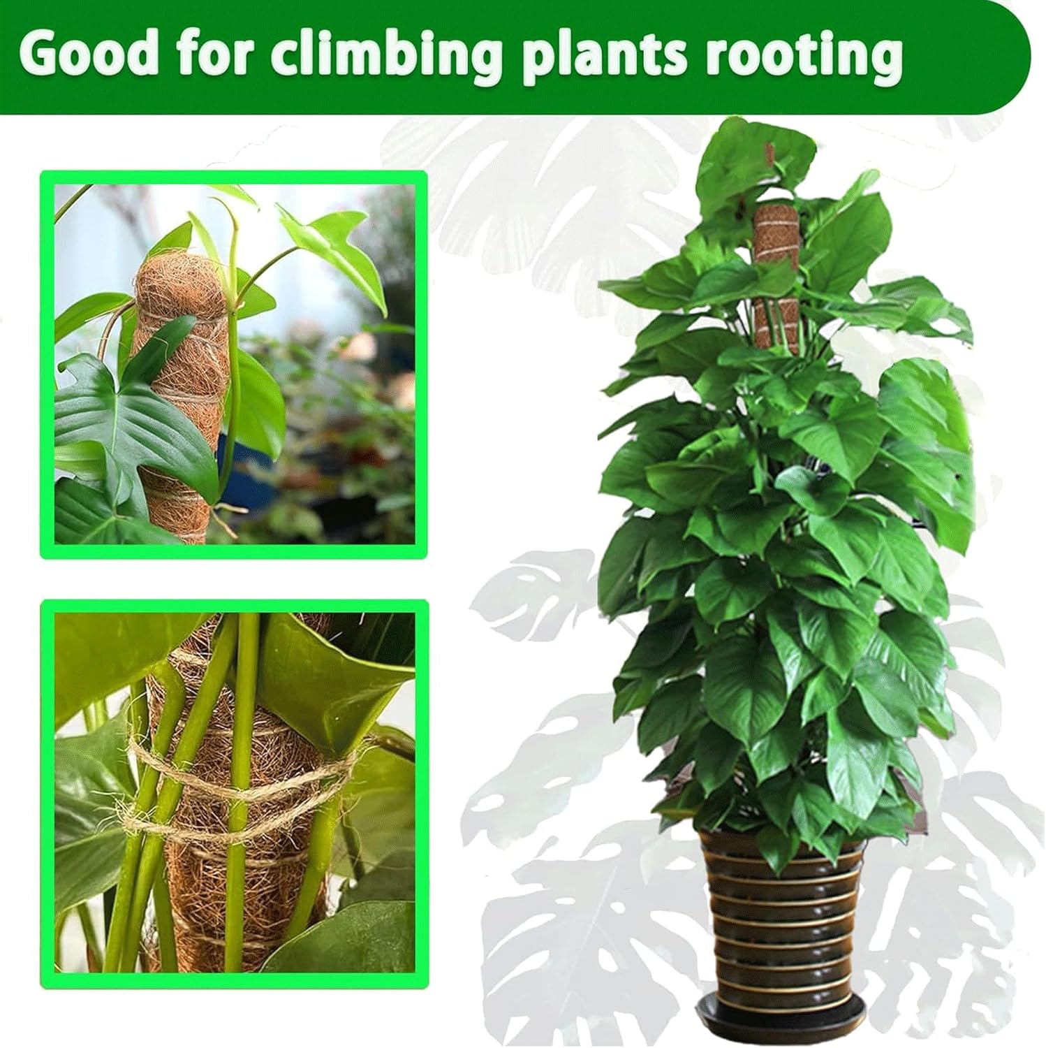 Moss Pole, 4Pack 21 Inch Plant Support Stakes for Indoor Plants, Monstera Plant Support Stakes, 69 Inch Tall Coir Plant Pole Sticks for Potted Plants, Pothos, Philodendron, Climbing Plants Accessories-VerdiqueGarden