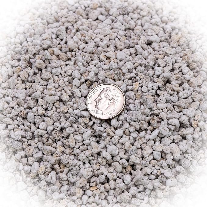 Organic Perlite — Medium/Fine Grade Horticultural Soil Amendment for Indoor & Outdoor Container Plants for Drainage Management and Enhanced Growth (2 Quart)-VerdiqueGarden