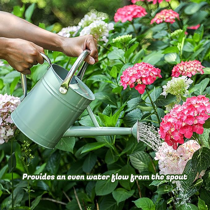 1 Gallon Watering Can for Plants, Watering Cans for Indoor&Outdoor Gardening, Galvanized Steel Watering Pot with Removable Spout, Metal Water Can with Ergonomic Movable Handle(Cream Green)-VerdiqueGarden