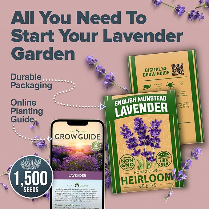 HOME GROWN 𝗨𝗦𝗔 𝗣𝗥𝗘𝗠𝗜𝗨𝗠 English Lavender Seeds 2 Pack 3000 𝗡𝗢𝗡-𝗚𝗠𝗢 Wildflower Seed, for Planting Indoor Outdoor High Germination Flower Seeds (Lavandula antustifolia)-VerdiqueGarden