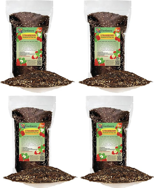 Strawberry Premium Potting Soil Mix - Ideal Blend for Growing Robust and Flavorful Strawberries - 20 Quart-VerdiqueGarden