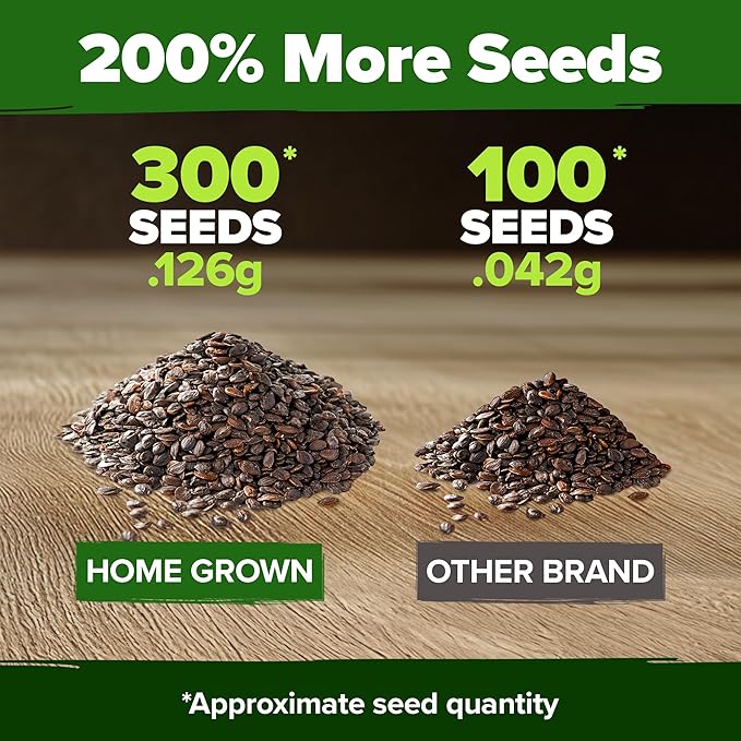 HOME GROWN 𝗨𝗦𝗔 𝗣𝗥𝗘𝗠𝗜𝗨𝗠 Aubrieta Rock Cress Purple, Flowering Ground Cover Seed Pack, Perennial Cress Seeds for Planting Outdoor Lawn Gardens 300 𝗡𝗢𝗡-𝗚𝗠𝗢 Aubrieta deltoidea Flower Seeds-VerdiqueGarden