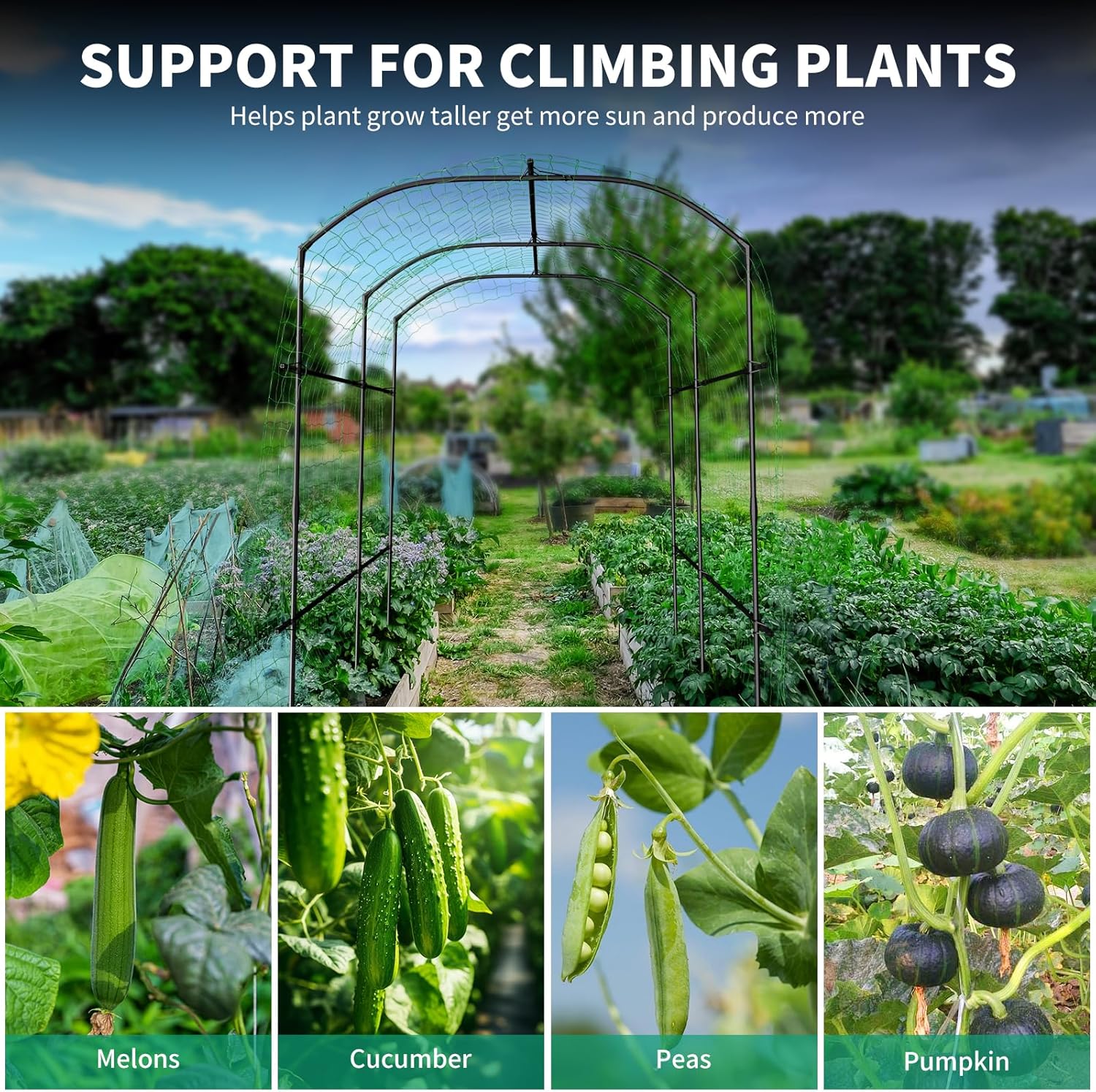 DoCred Tall Garden Arch Trellis for Climbing Plants, 87in Tall Metal Plant Support Trellis Archway for Climbing Vine Vegetable/Fruit/Flower Outdoor Yard Lawn Garden Arch Tunnel Trellis-VerdiqueGarden