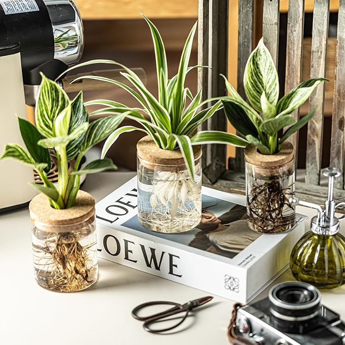 Glass Plant Propagation Stations for Plants – Set of 4(4 Large & 4 Small) Hydroponic Vases for Plant Cuttings,Flower Arrangements, Home & Office Decor–Desktop Vases for Living Room, Bedroom (8)-VerdiqueGarden