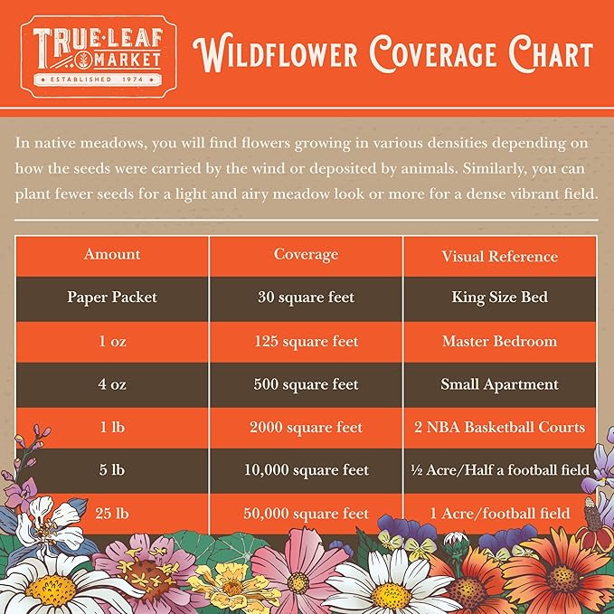 Wildflower Bulk, Southeastern Flower, 1 Lb. 640,000+ Seeds, Annual & Perennial Flowers with Native Southeastern Blooms, Pollinator Flower-VerdiqueGarden