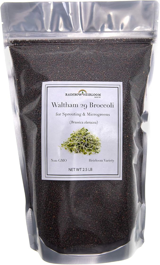 Broccoli Seeds for Sprouting & Microgreens | Waltham 29 Variety | Non GMO & Heirloom Seeds | Bulk 2.5 LB (40 oz) Resealable Bag | Rainbow Heirloom Seed Co.-VerdiqueGarden
