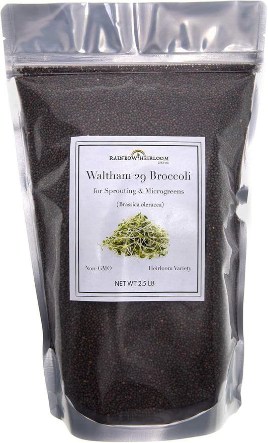 Broccoli Seeds for Sprouting & Microgreens | Waltham 29 Variety | Non GMO & Heirloom Seeds | Bulk 2.5 LB (40 oz) Resealable Bag | Rainbow Heirloom Seed Co.-VerdiqueGarden