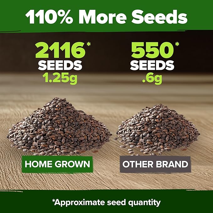 HOME GROWN 𝗨𝗦𝗔 𝗣𝗥𝗘𝗠𝗜𝗨𝗠 Catnip Seeds (Bulk Pack) 𝗡𝗢𝗡-𝗚𝗠𝗢 Heirloom Herb 2,116 Seeds - Indoor or Outdoor Seed - High-Germination Cat Nip - Cat Safe Plants (Nepeta cataria)-VerdiqueGarden