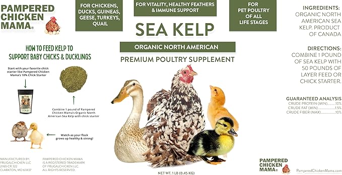 Organic Kelp for Chickens & Duck Feed (1 Pound): Chicken Vitamins | Chicken Supplements | Vitamins for Chickens | Pampered Chicken Mama-VerdiqueGarden