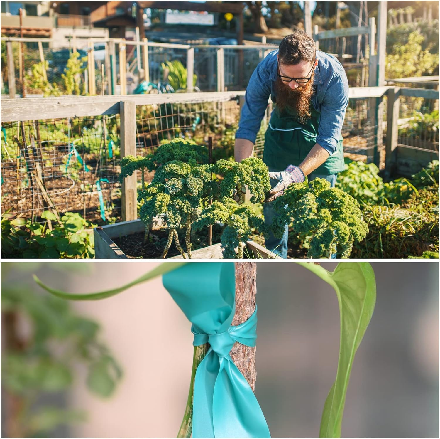 4 Rolls Stretch Tie Tape, 1” Wide 200FT Reusable Garden Plant Ties Green Tapes for Plants, Thick Garden Vinyl Stake Ribbon for Branches Flowers Tomatoes Indoor Outdoor Greenhouse-VerdiqueGarden