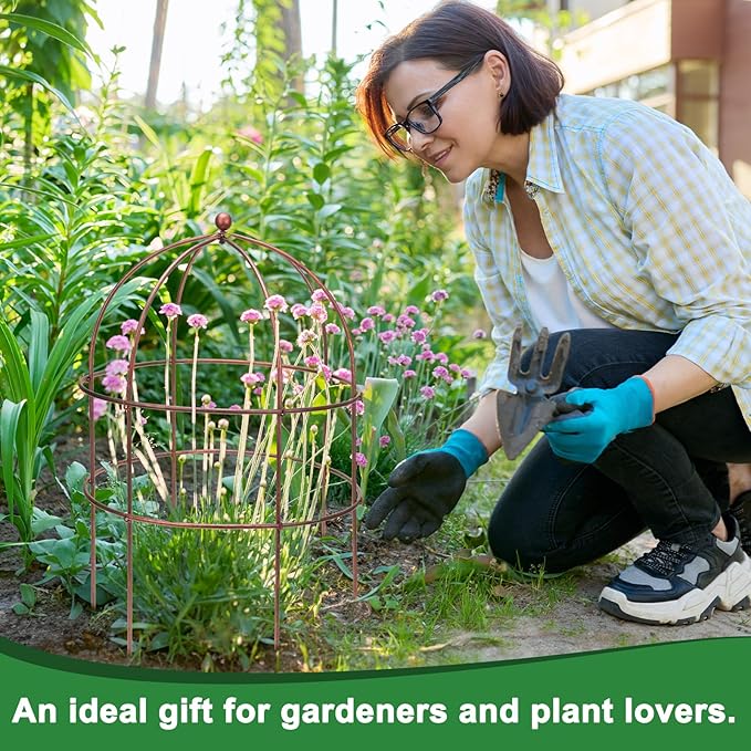 1 Pcs Jardin Bird Cage Plant Support 24" H Large Sturdy Grow-Through Flower Support Peony Cage Climbing Plant Support Trellis Sculptural Garden Decor for Perennial Flowers Vintage Gold-VerdiqueGarden