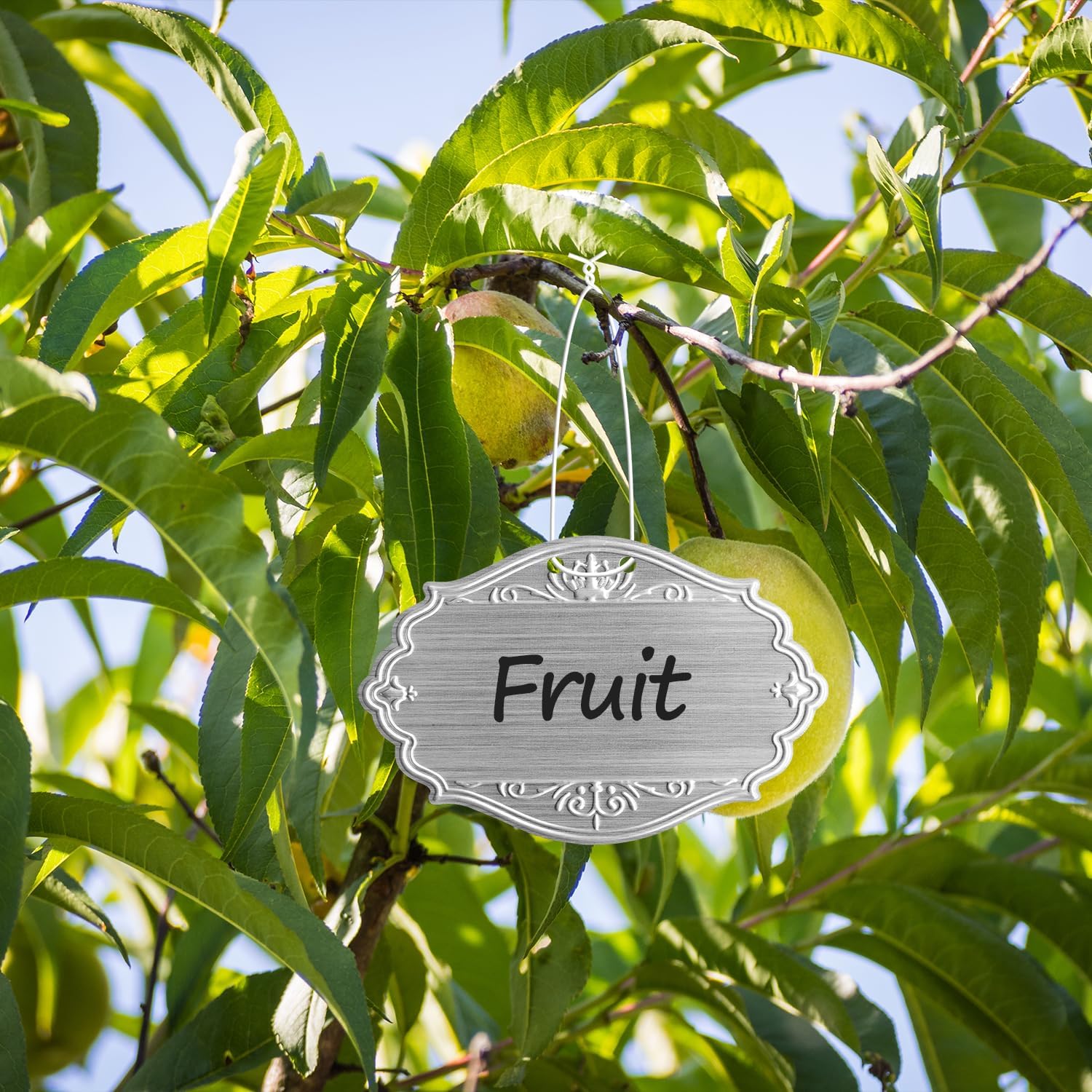 40PCS Plant Labels,Bigger Size Aluminum Metal Plant Tags Plant Label for Outdoor Garden Waterproof,Silvery Plant Name Tags for Tree,Vegetables,Herbs-VerdiqueGarden