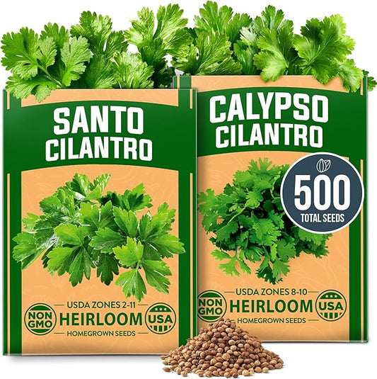 HOME GROWN Cilantro Seeds 250 Calypso & 250 Santo Cilantro for Planting Indoors, Hydroponics or Aerogarden - Heirloom, Non-GMO, Santo Plant, for Your Indoor Herb Garden-VerdiqueGarden