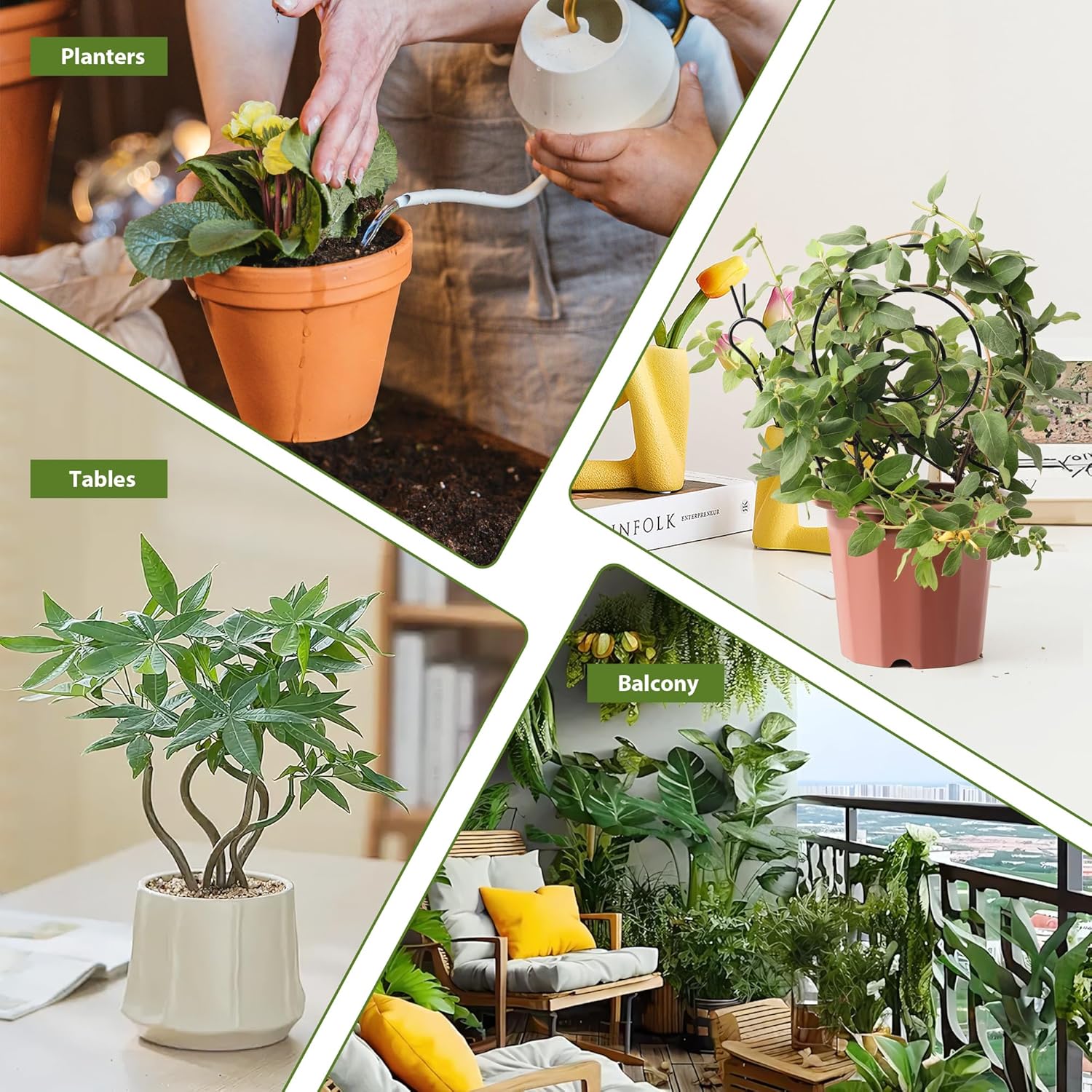 2 Pack Plant Trellis Indoor, 11" W x 13" H Small Trellis for Potted Plants, Decorative Trellis for Climbing Plants Indoor, Ideal for Vines on Tabletops, Balconies, Gardens and Lawns, Snail-Shaped-VerdiqueGarden