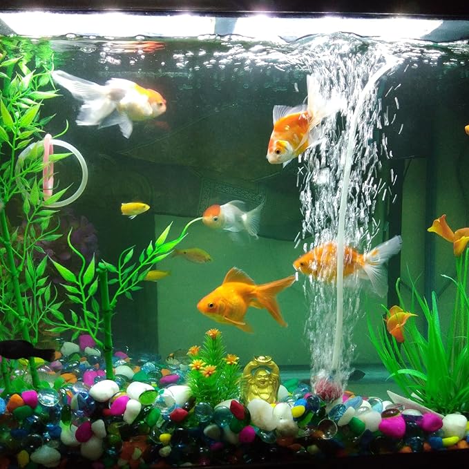 1 1/4" x 1 1/2" Clear Plastic PVC Tubing 5ft Flexible Vinyl Tube, [for Garden Irrigation, Water Hose, Fish Tank, Aquarium] - 31.8mm x 38.1mm-VerdiqueGarden