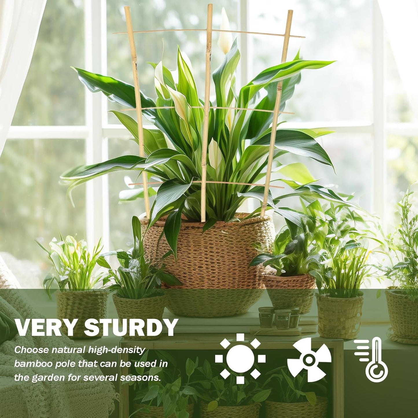 3PCS Fan-Shaped Bamboo Trellis, 2Ft Plant Trellis Indoor, Small Trellis for Potted Plants Indoor, Climbing Plants, Vegetables-VerdiqueGarden