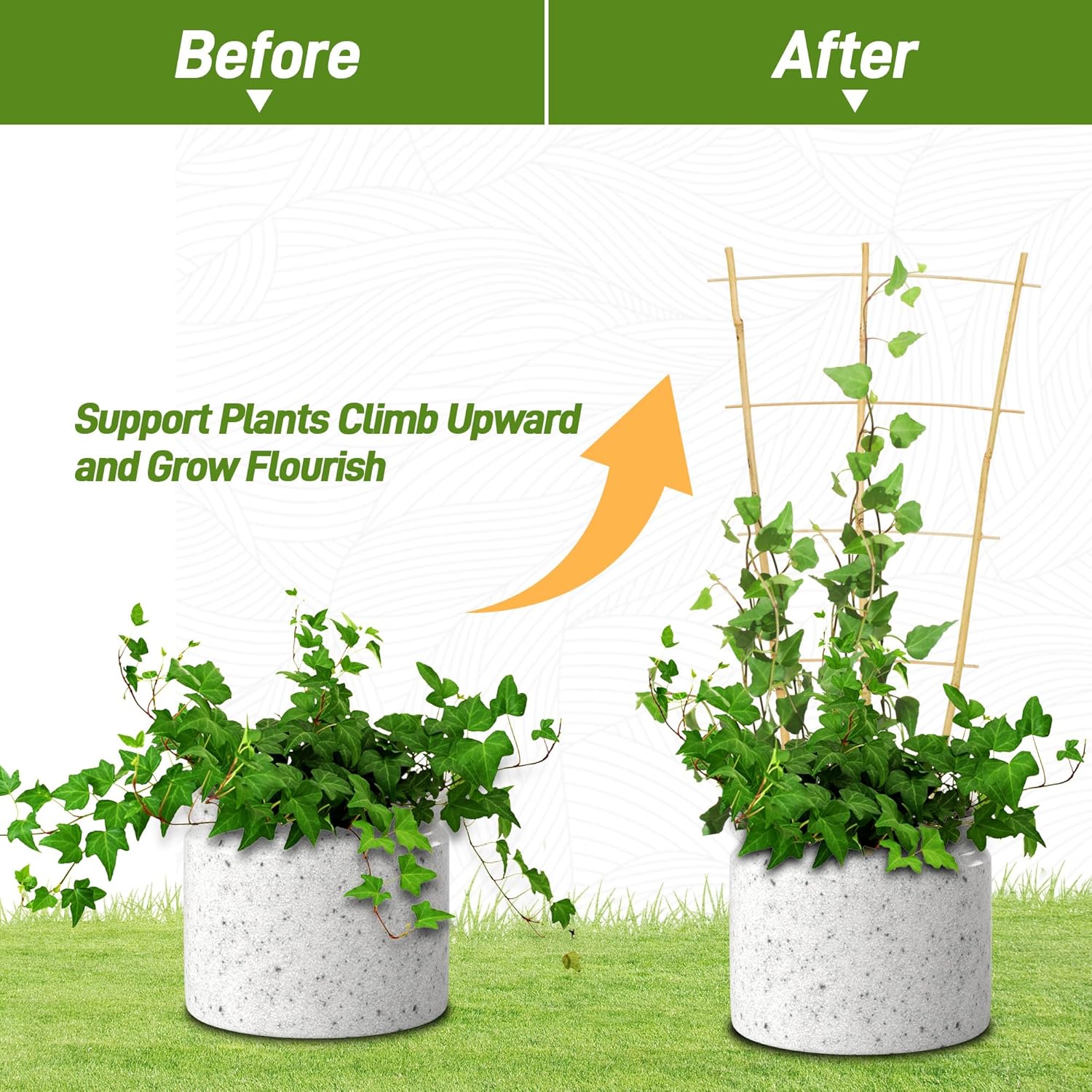 Avalution 10 Pack Bamboo Trellis for Climbing Plants, 2 FT Garden Ladder Trellis for Potted Plants Indoor, Fan-Shaped Small Plant Support Trellis for Houseplants Ivy Hoya Vine Monstera-VerdiqueGarden