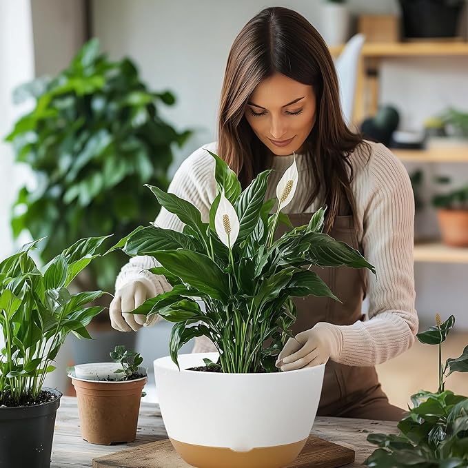 10 Inch Pots for Indoor Plants, Large Self Watering Planters with Drainage and Saucers, Plastic Outdoor Flower Pot, Set of 2, White-VerdiqueGarden