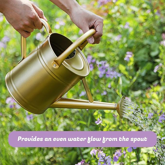 1 Gallon Watering Can for Plants, Watering Cans for Indoor&Outdoor Gardening, Galvanized Steel Watering Pot with Removable Spout, Metal Water Can with Ergonomic Movable Handle(Gold)-VerdiqueGarden