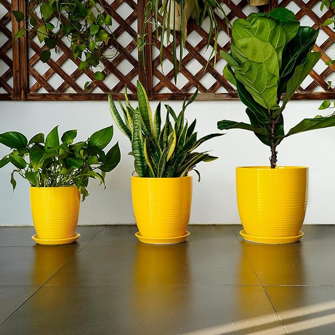 12 Inch Pots for Plants - Ceramic Planter for Indoor Plants Large Plant Pot with Drainage Hole and Saucer Round Outdoor Flower Pot for Garden Home Patio Office Yellow-VerdiqueGarden