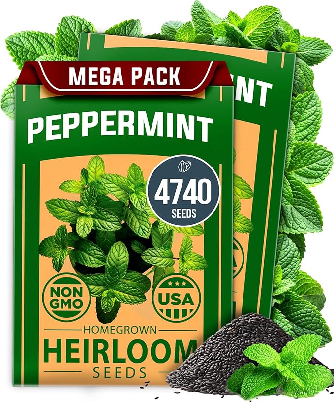 HOME GROWN Peppermint Seeds 2 Pack (Mentha × piperita) – 4,740 Heirloom Mint Seeds for Planting – 𝗡𝗢𝗡-𝗚𝗠𝗢, 𝗨𝗦𝗔-𝗦𝗢𝗨𝗥𝗖𝗘𝗗 – Grow Indoors or Outdoors, Kitchen Herb Garden Favorite-VerdiqueGarden