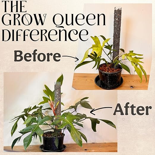 All-in-One Complete Organic Plant Food, Indoor Plant Food for Houseplants, Organic Fertilizer for Vegetable Gardens, 7 Formulated Single Servings Feeds 14 gal Fast and Slow Release-VerdiqueGarden