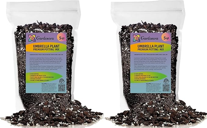 Umbrella Plant Premium Potting Mix - 10 Quart - Nourish Your Plants with Nature's Finest Ingredients (2 Bags of 5 Quart)-VerdiqueGarden