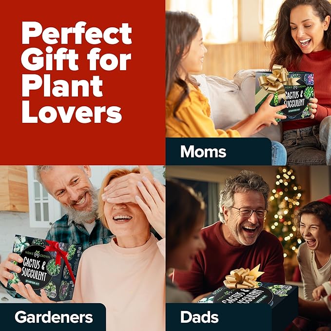 HOME GROWN Succulent & Cactus Seed Kit for Planting – [Enthusiasts Favorites] Premium Cactus & Succulent Starter Kit: 4 Planters, Drip Trays, Markers, Seeds Mix, Soil - DIY Gift Kits-VerdiqueGarden