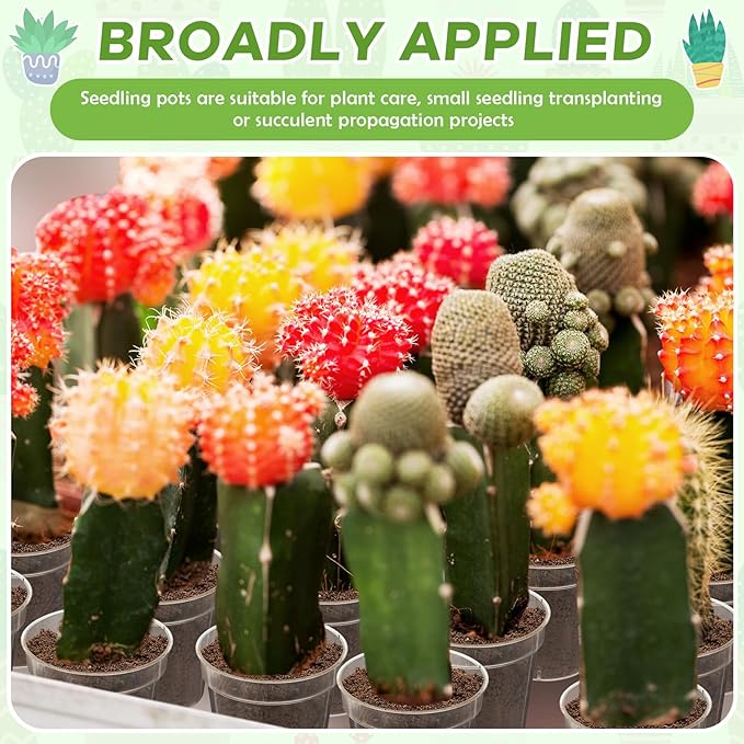 Yaomiao 200 Pcs 2 Inch Clear Mini Plastic Plant Pot Nursery Seedling Pots Seed Starter with Drainage Holes for Indoor Outdoor Garden Succulent Plants Cuttings Transplanting-VerdiqueGarden
