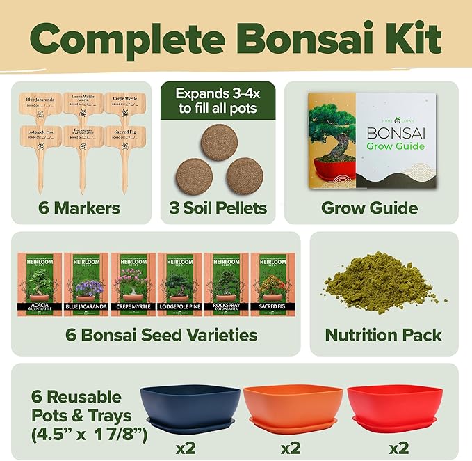 Bonsai Tree Kit - Gifts for Men & Women (Master Kit)-VerdiqueGarden